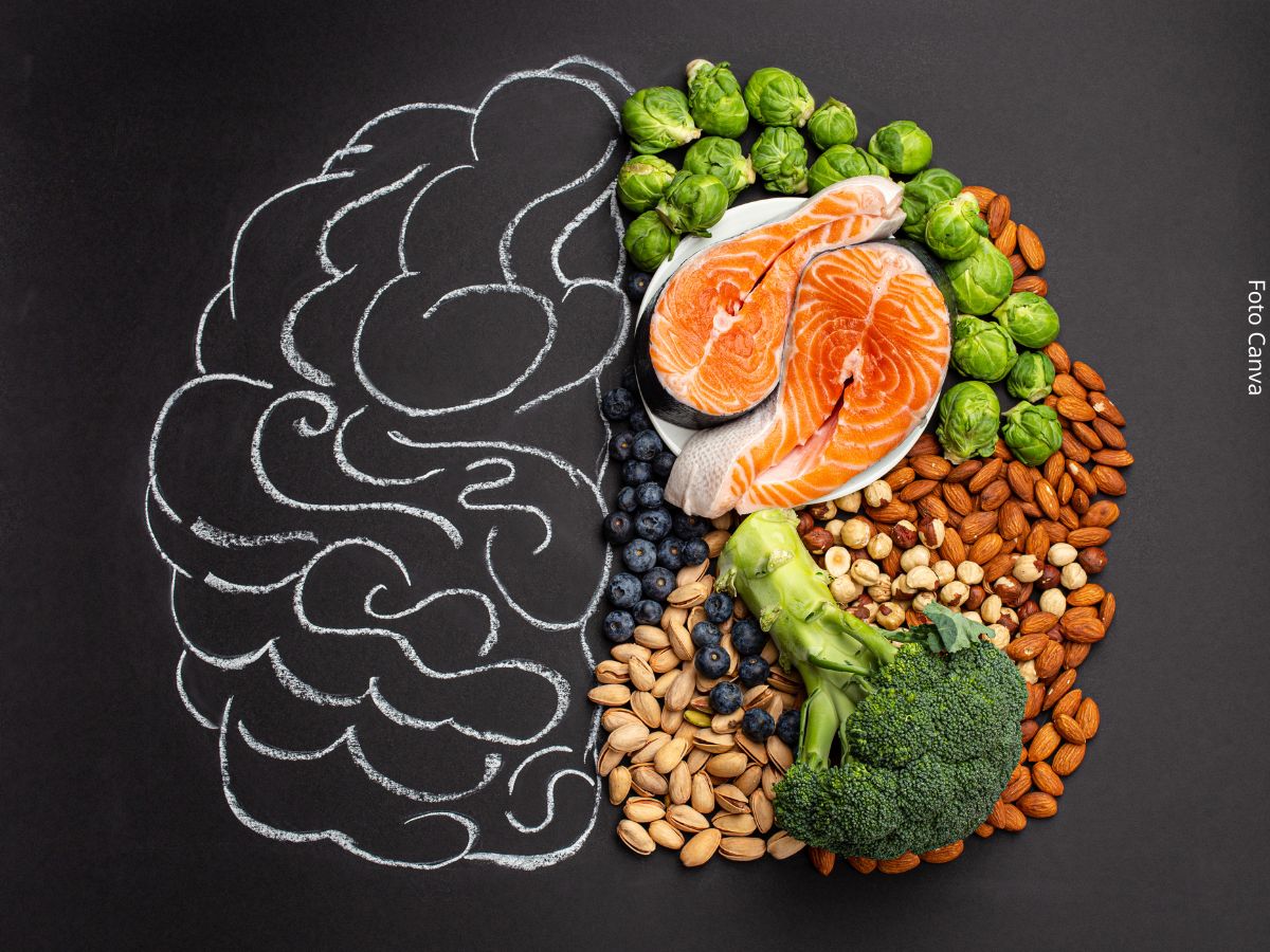 Imagem de um desenho do cérebro, com metade dele preenchido com alimentos que compõem uma dieta rica em nutrientes para a memória