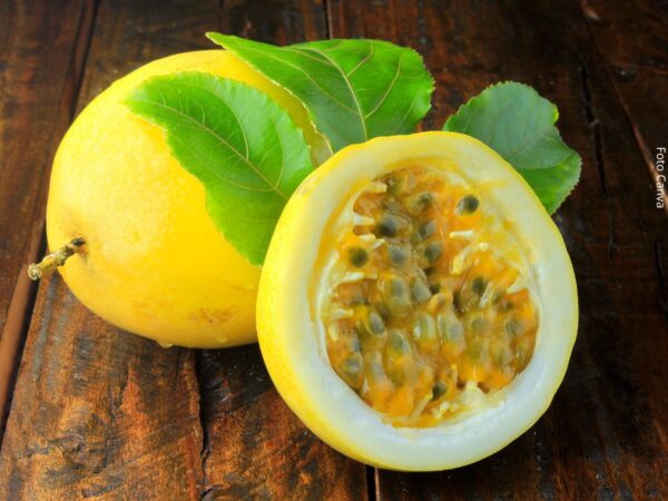 Frutas ricas em proteína bem comuns, mas pouco divulgadas