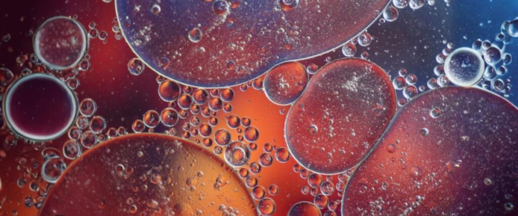 Imagem de bolhas de água sob a lente de um microscópio.